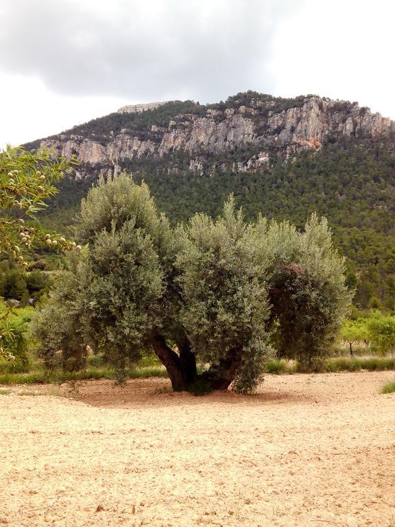 La Caseta De Pedris Country house Valderrobres